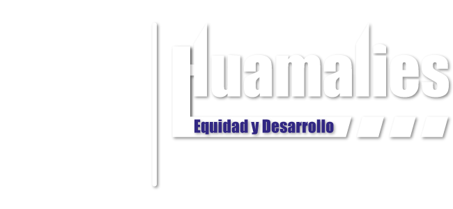 Municipalidad Provincial de Huamalies